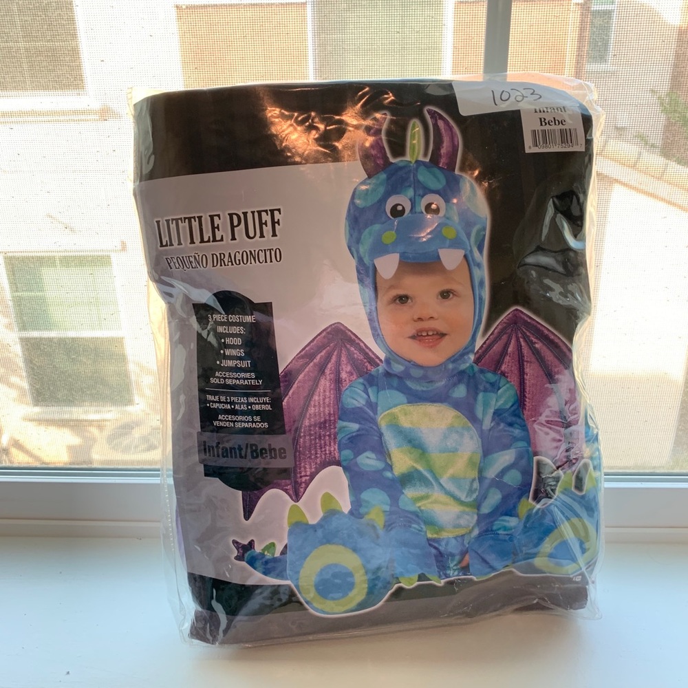 Dragon costume